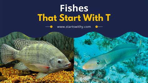 Fish Starting With T [Full List] .